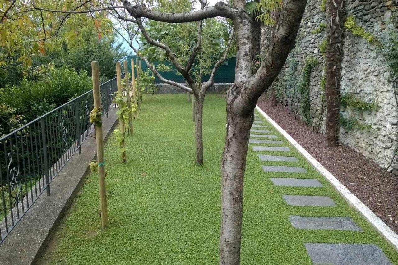 Domus Cusiana Complesso Vista Lago E Piscina Miasino المظهر الخارجي الصورة
